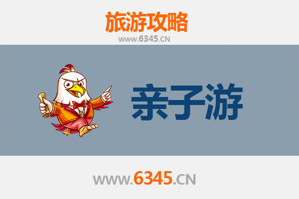 宁波慈溪亲子游攻略：探索自然与文化的家庭乐趣